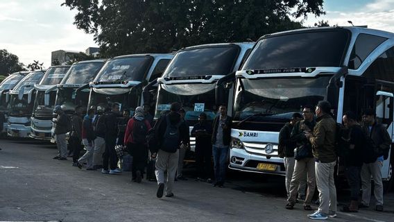 Damri Bus Occupancy Rate Reaches 81 Percent During the Return Flow of the Nataru Holiday