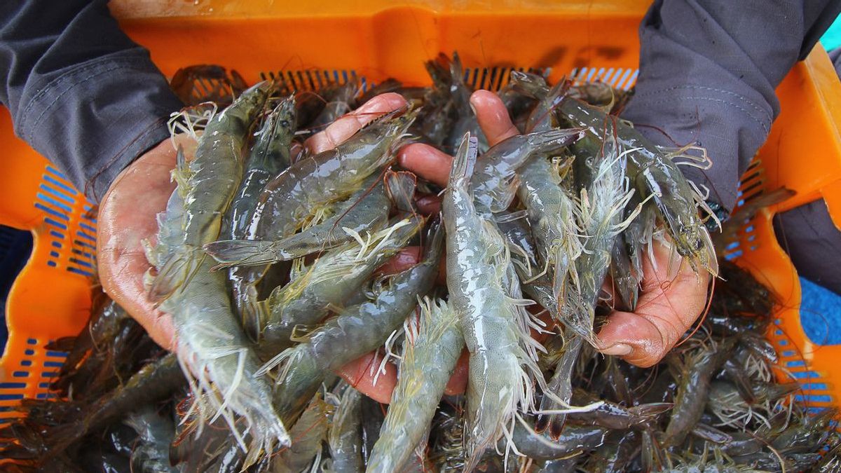 KKP Calls Indonesian Fisheries Exports Capai 2.68 Billion US Dollars To Semester I-2023