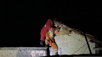 Vespa Wasp Nest Evacuation Officer In Bogor That Killed Marbot Masjid