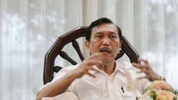 Luhut: Compared To Singapore And Malaysia, Cases In Indonesia Are The Lowest