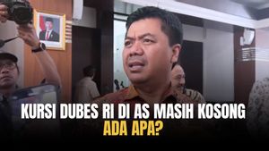 Istana Jawab Kursi Kosong Dubes RI untuk AS: Perhatian Presiden Prabowo