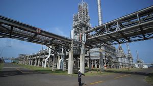 PLN Siap Pasok Listrik 169 MW ke Proyek Pengembangan Olefin Complex TPPI