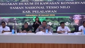 Polisi Tahan 6 Tersangka Perusakan Pos Satgas PKH di TN Tesso Nilo