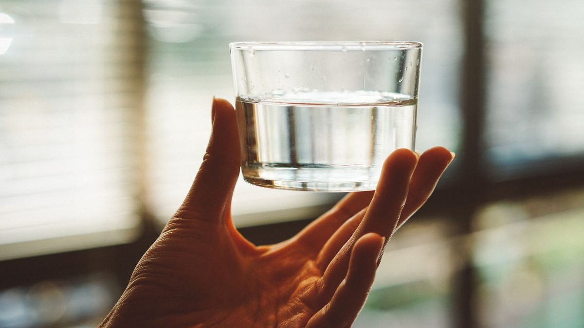 Minum Air Putih Sebelum Tidur Mampu Sehatkan Badan, Benarkah? Begini Penjelasannya