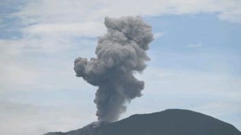    Gunung Ibu Semburkan Abu Vulkanik Setinggi 700 Meter