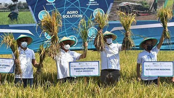 Kabar Baik! Kontribusi Industri Agro Tembus 50 Persen di Sektor Pengolahan Nonmigas