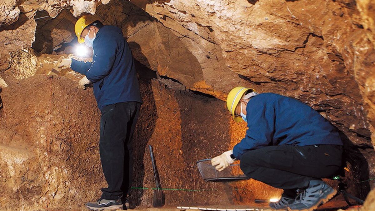 中国河南省の小さな洞窟、7万年前の現代人の足跡を保存