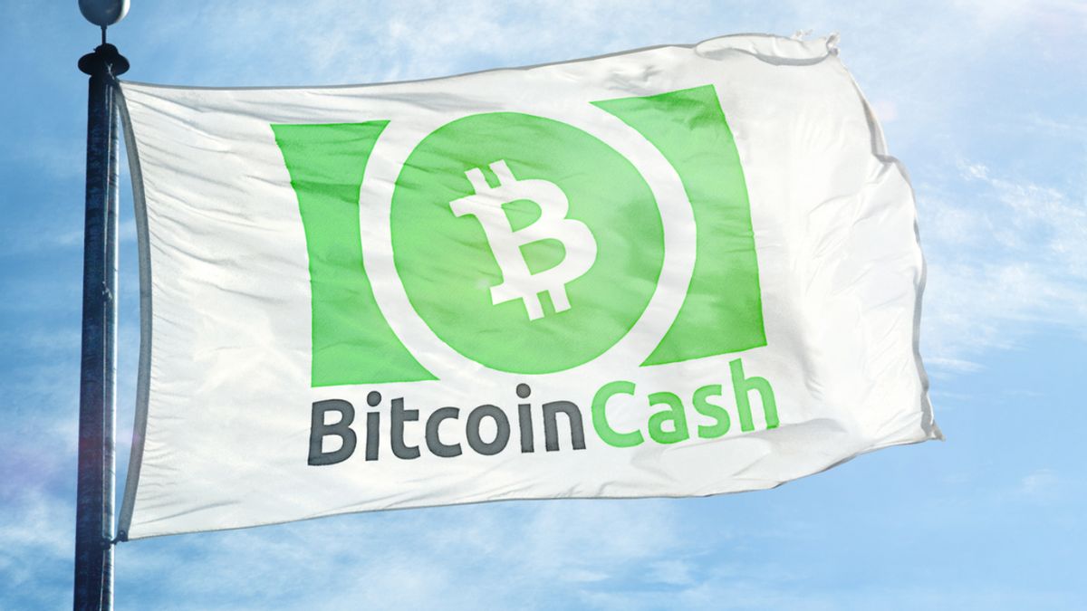 Bitcoin Cash (BCH) Dapat Pembaruan, Ini yang Harus Kamu Tahu!