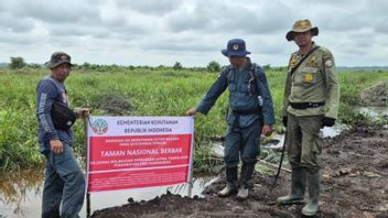 Kemenhut Continues Legal Process for TN Perambah Actor Berbak Sembilang Jambi