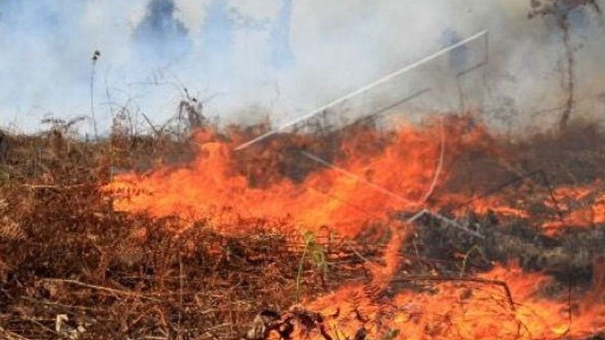 Masuk Masa Peralihan Cuaca, BMKG Imbau Warga Waspadai Potensi Kebakaran
