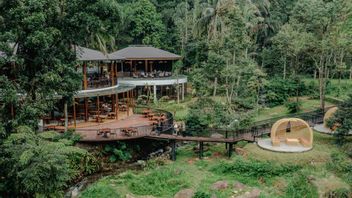 Festival Akhir Tahun Enchanting Valley : Pesta Musik dan Kuliner Liburan Terbaik