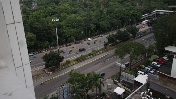 Cawang yang Dulu Penuh Pohon Kini Berubah jadi Hutan Beton