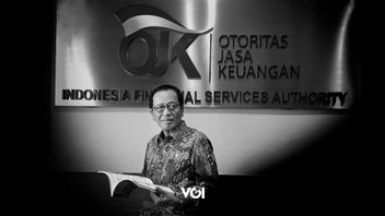 OJK银行监管局局长Dian Ediana Rae Yakin Yakin Fundamental Ekonomi Indonesia Bagus