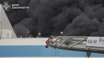 ゼレンスキーはロシアの攻撃を非難した:モスクワが戦争を終わらせるという合図はまだない