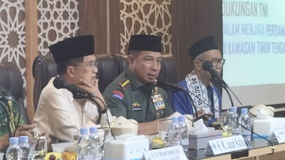 Panglima TNI Paparkan Bantuan yang Sudah Dikirim ke Palestina