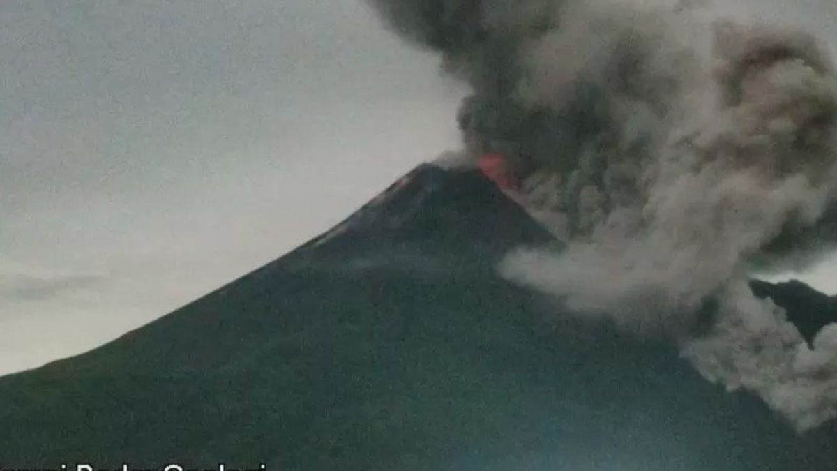 Kabar Gunung Merapi: Tiga Awan Panas Guguran Merapi Melesat ke Tenggara Sejauh Tiga km