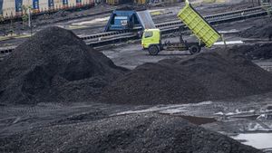 Pasokan LNG Terganggu, Asia Balik Lagi ke Batu Bara