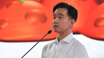 Prabowo a été invité à résoudre les problèmes en Papouasie, c’est la ligne des réalisations de Gibran pendant son poste de vice-président