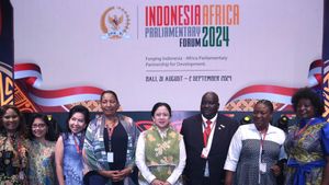 Lewat IAPF, Puan Ungkap DPR dan Parlemen Afrika Sepakat Sinergi Perangi Mpox