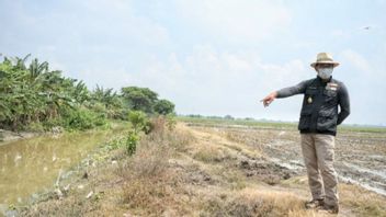 Ridwan Kamil Melukis selama Karantina Usai Pulang dari Luar Negeri: Orang Sibuk Kaya Saya Dikasih Bengong Stres