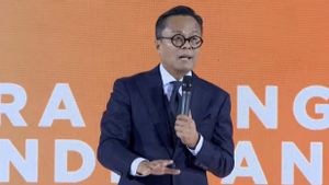Bos Danantara soal Masalah Kereta Cepat Whoosh: Kita Bereskan