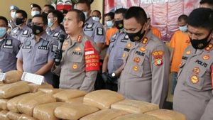 Polisi Sita 159 Kg Ganja Diselundupkan Bermodus Kotak Berlogo PLN