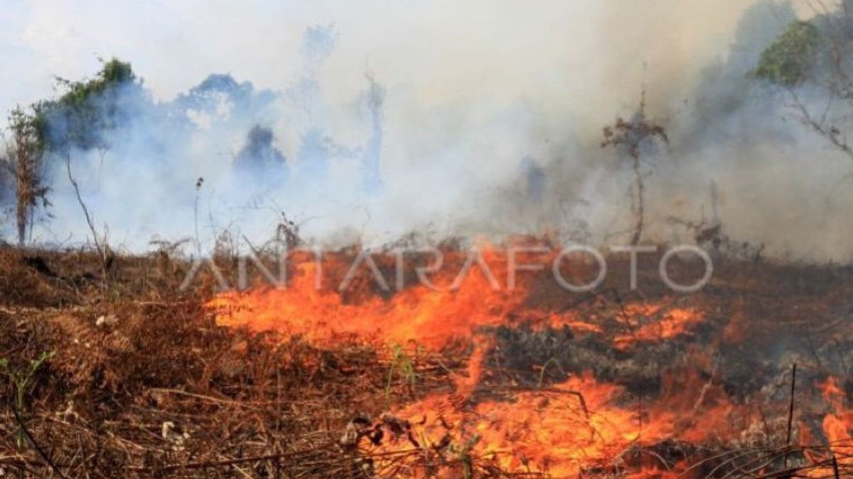BMKG Asks Acehnese To Beware Of Potential Forest And Land Fires During Drought