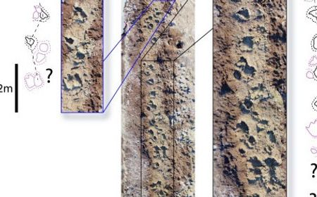 Ini Usia Jejak Dinosaurus yang Berhasil Ditemukan Ilmuwan di Inggris