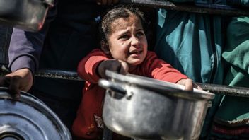 Food Aid To Gaza Declines Sharply Because Israel Makes New Rules