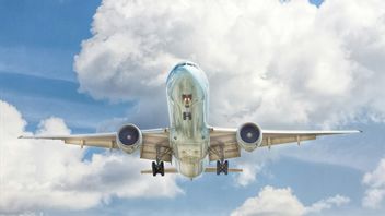 153 Warga Palestina Ditahan 12 Jam di Bandara Afsel Akhirnya Diizinkan Turun Pesawat    