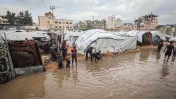 UNRWA dit que 235 000 habitants de Gaza ont été touchés par la crise hivernale
