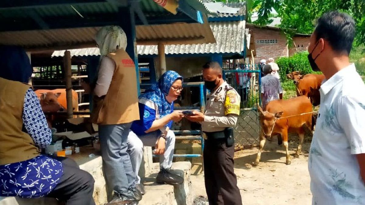 شرطة غرب نوسا تينغارا تساعد الحكومة في التعامل مع أمراض الثروة الحيوانية في وسط لومبوك
