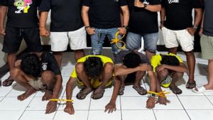 3 Anak Terlibat Curi Baterai Tower Rp228 Juta, Polresta Kupang Kota Terapkan Wajib Lapor