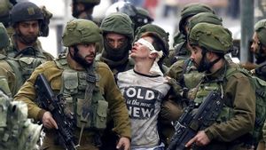 Polisi Israel Ditikam, Dua Warga Palestina Tewas Ditembak