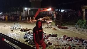 Jalan Nasional di Aceh Tenggara Lumpuh karena Jembatan Putus, Sedang Dibangun Jembatan Bailey