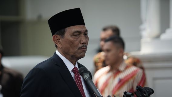 Luhut: Buah UU Cipta Kerja Akan Terlihat Beberapa Bulan ke Depan