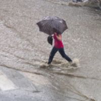 Asesmen Jumlah Rumah Terdampak Banjir Kota Malang, BPBD: Ada yang Roboh