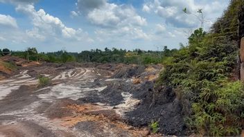 OIKN Perketat Pengawasan Tahura Bukit Soeharto, Aktivitas Ilegal Mulai Disikat