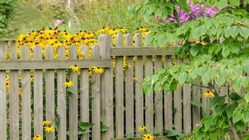 6 توصيات لألوان ساحة المنزل التي تجعل الفناء يشعر بمثابة أكثر مساحة