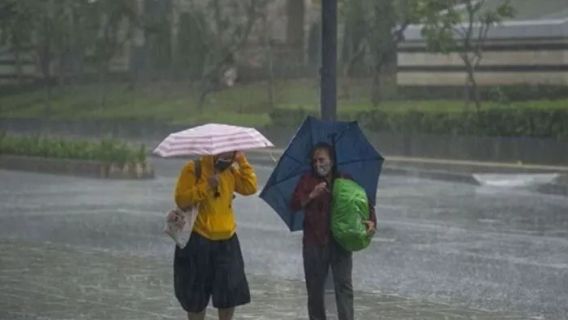  Angin Kencang Landa Bali hingga Plafon Ngurah Rai Jebol, BMKG Sebut Kecepatan Angin Sampai 81 Km/Jam