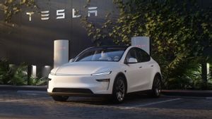 Resmi Hadir di India, Tesla Langsung Bawa Tesla Model Y Terbaru 