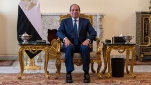 Presiden El-Sisi Umumkan Persiapan Rencana Pemulihan Dini dan Rekonstruksi Gaza yang Komprehensif