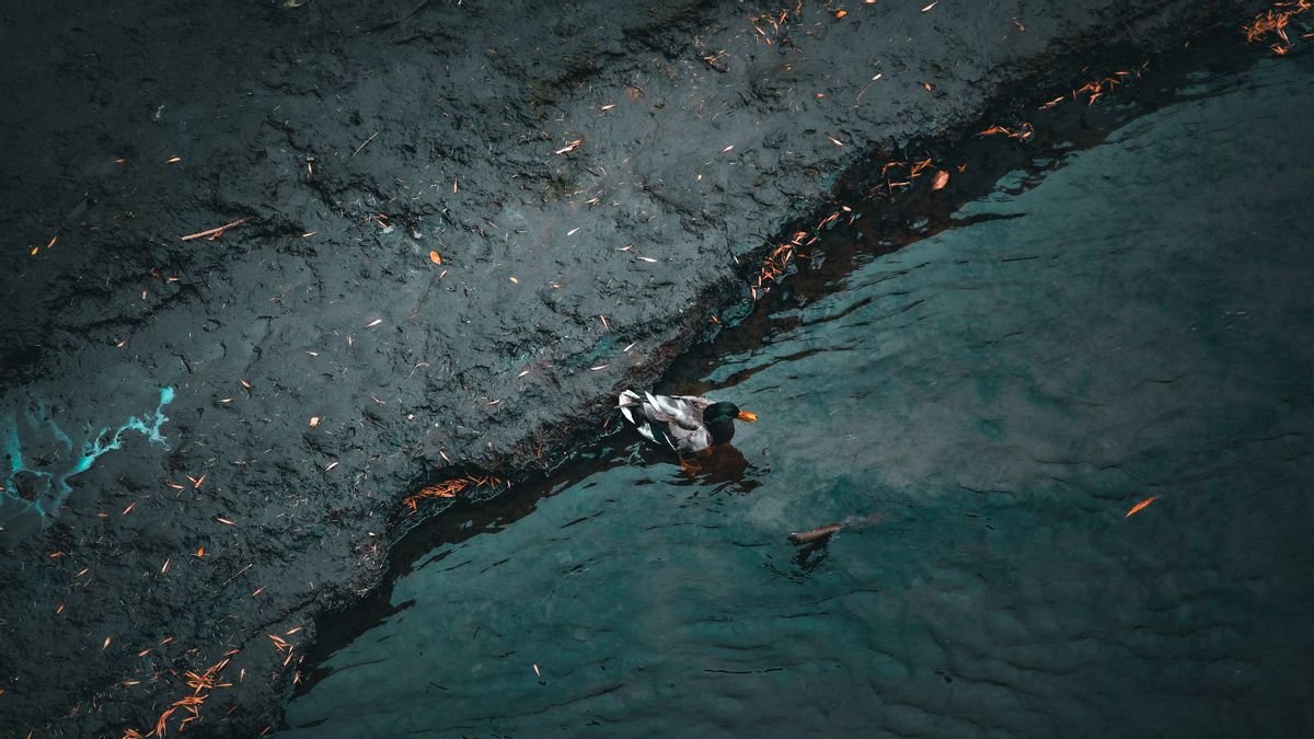 Overturned Ship Oil Spill In Philippines Capai Fisherman City, Ancam Mata Pencaharian