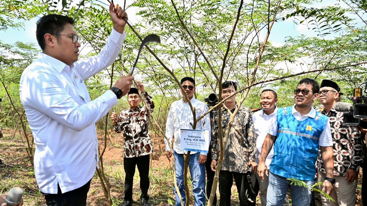 PLN Bersama Kementan Luncurkan Model Pertanian Terpadu untuk Kembangkan Cofiring Biomassa