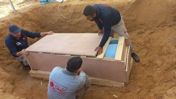 Archaeologists Find Rare Tin Sarkofagus At Gaza's Roman Era Cemetery