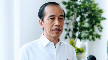 Jokowi Apporte De Bonnes Nouvelles: La Plus Grande Zone Industrielle Verte Du Monde Commence La Construction En Décembre 2021 à Kaltara