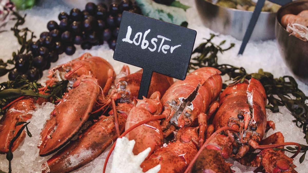 The Export Of Lobster Seeds From These Two Companies Is Considered To Have Violated The Rules