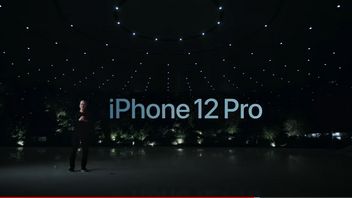 ミニからiPhone 12の新しいバリエーション、 プロからプロマックスへ