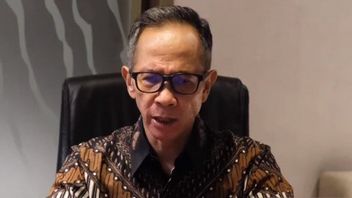 OJK Nilai Stabilitas Sektor Keuangan Tetap Terjaga di Tengah Dinamika Domestik