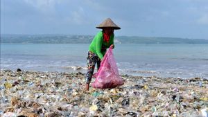 Terungkap! 20 Juta Ton Sampah Masuk ke Laut RI Tiap Tahun